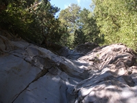 rrente Quarantore-20110911 044